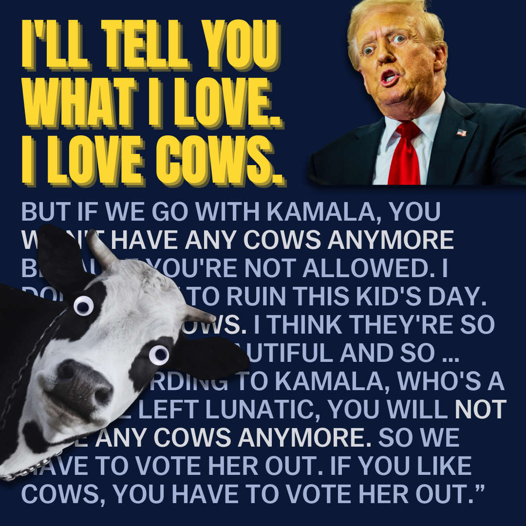 I_Love_Cows_4.png